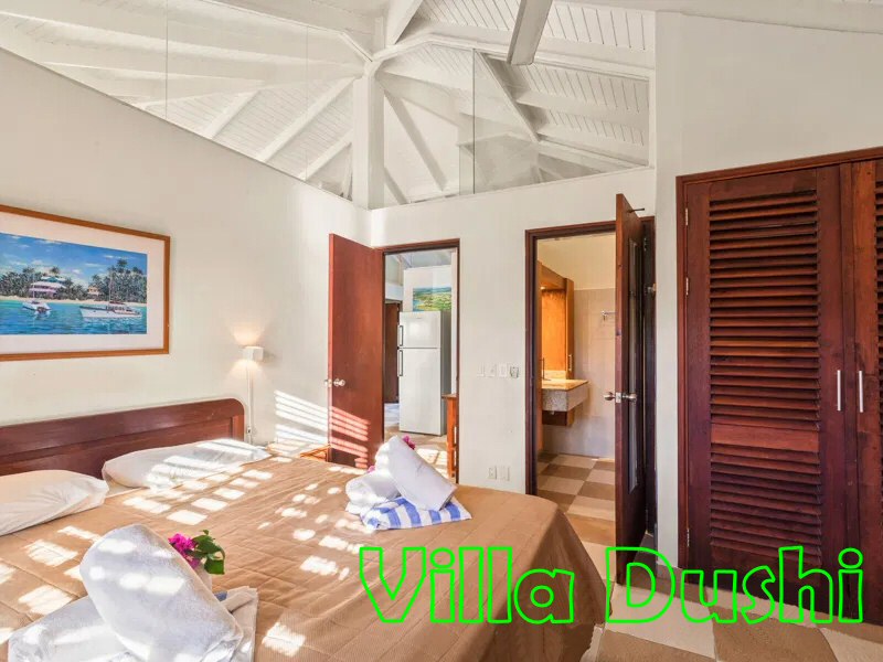 whatsapp image 2025 11 20 at 19.25.53