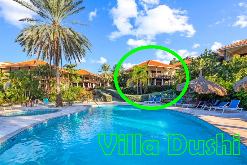 whatsapp image 2025 11 20 at 20.09.08