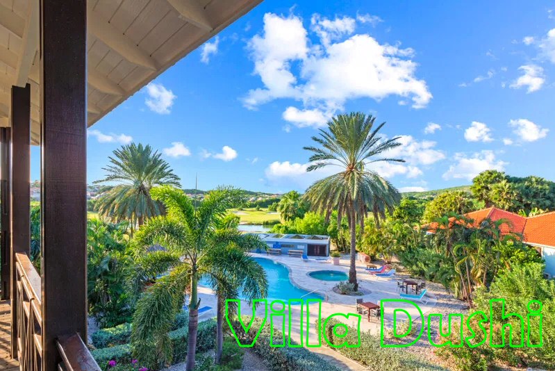 whatsapp image 2025 11 20 at 20.11.00